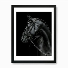 Schwarzes Pferd mit Zaumzeug Kunstdruck gerahmt Wandbild Poster Leinwanddruck Bild