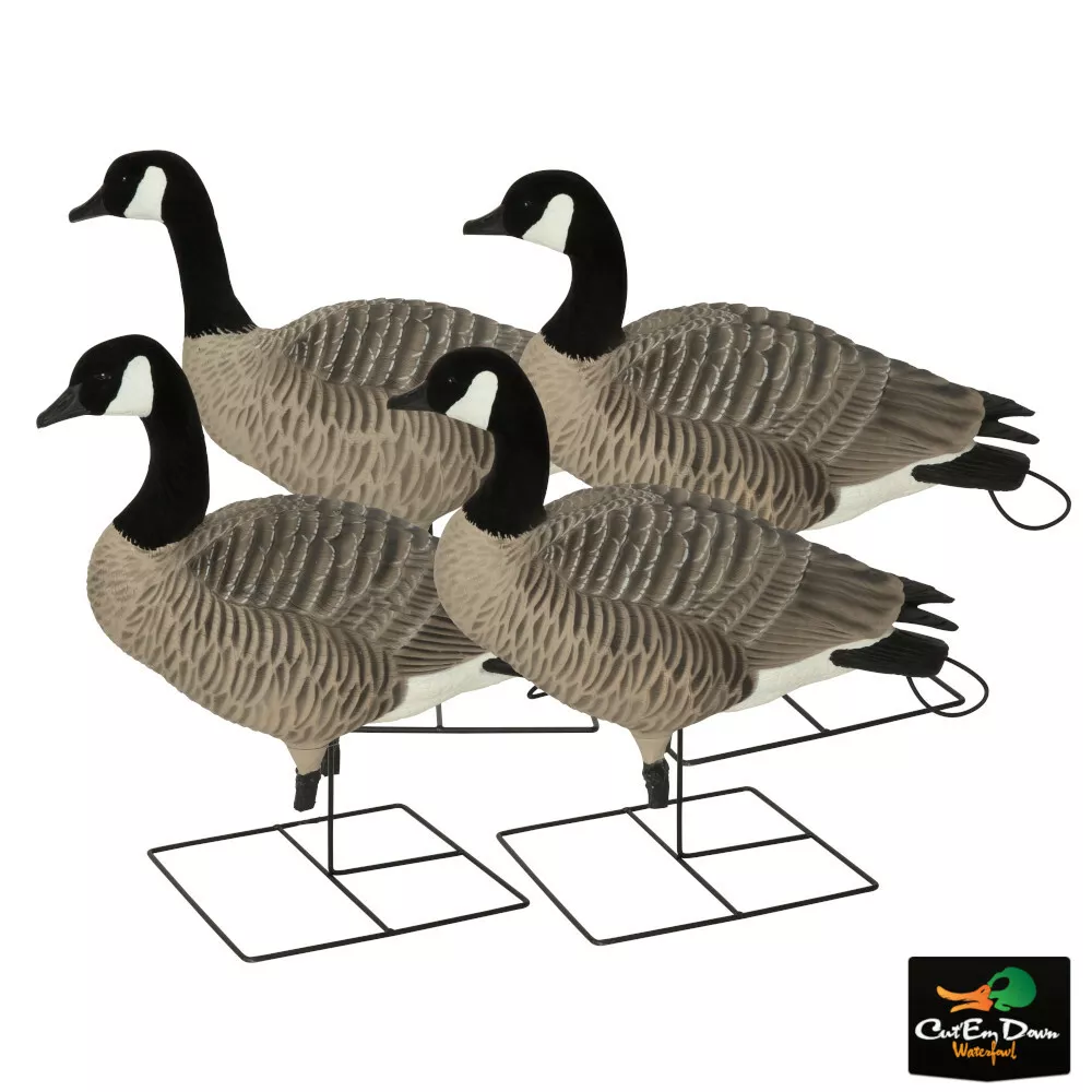 Canada goose pro clearance deal