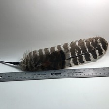 Cowboy Hat Feather Western, Stetson, Resistol, Style, By Gary Clark