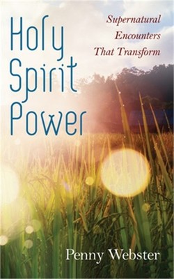 Holy Spirit Power: Supernatural Encounters That Transform (Hardback or Cased Boo