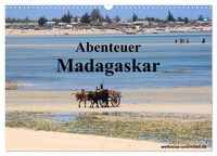 "Calendar 2027 · US Version · Adventure Madagascar (Wall Calendar 2027 17\" × 12\""