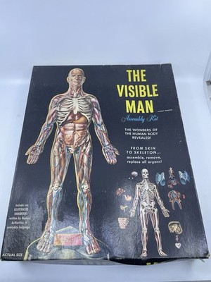 Vintage 1959 Renwal The Visible Man Skeleton Science Project Model Assembly Kit