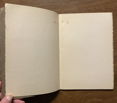 Eine ungelöste Phase der amerikanischen Geschichte - Dooley Amer. Irish Historical Soc NY 1910 - Bild 6 von 23
