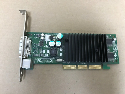 Nvidia 64MB AGP DVI SVideo Out Video Card P117 