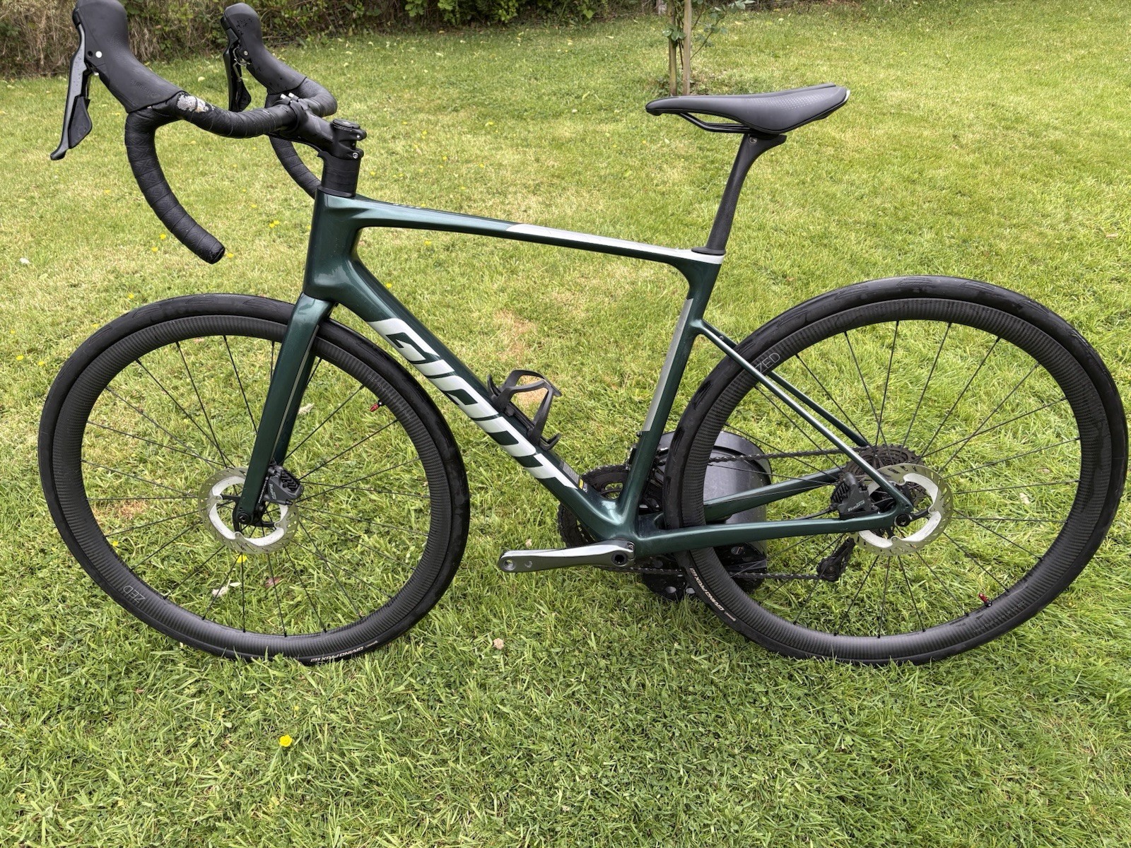 Giant Defy Advanced 3 Road Bike 2024 Kelp Forest Medium 54