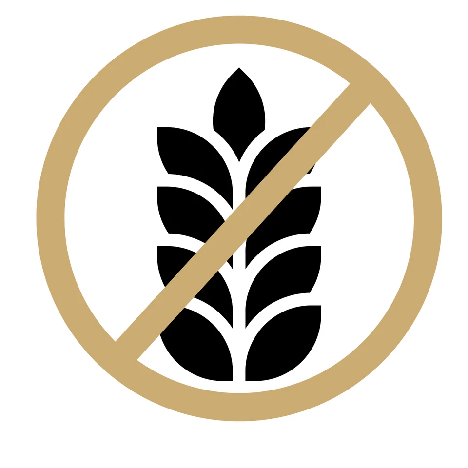 Nassfutter Hund 400g/ 800g Getreidefrei Hundefutter in Dosen 1DOG | alle Sorten - Bild 4 von 4