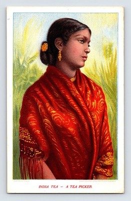 Postcard 1910 India Tea Growers Picker Portrait Posted Divided Back