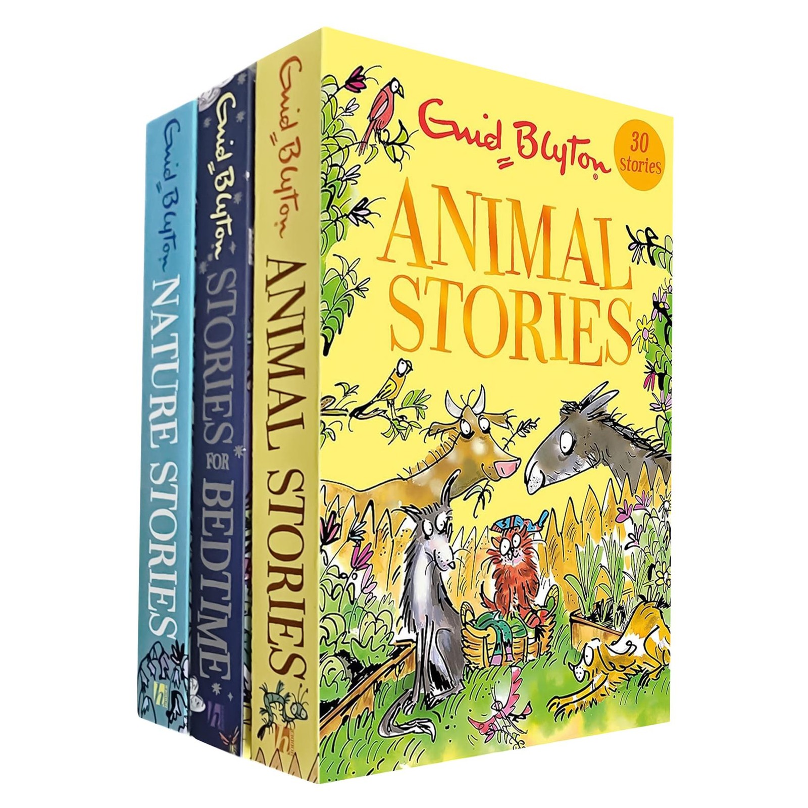 Enid Blyton's Classic Story Collection