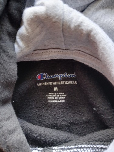 Champion AUTHENTIC ATHLETICWEAR Hoodie Sweatshirt Youth Boys Girls Size M Black - Picture 4 of 7