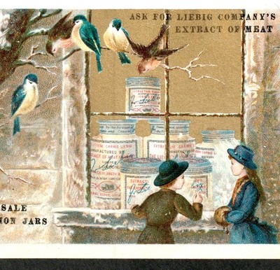 RARE c. 1884 LIEBIG Winter Scenes Birds S154 ENGLISH Window Shopping Trade Card