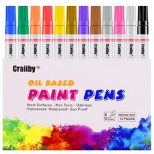 Paint Markers 12 Pack Oil-Based Waterproof Quick Dry Permanent Paint Pen Set ...