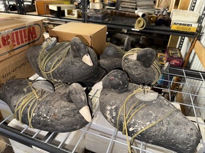 6 ANTIQUE CORK BODY DUCK DECOYS BLUEBILL SCAUP HENS RICHARD TUTIN ESTATE B4
