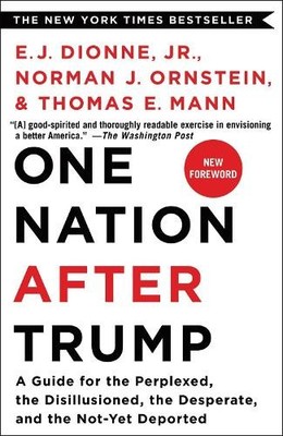 E. J. Dionne Jr. E. J. Dionne Jr E. J. Dionne, Jr  One Nation Afte (Taschenbuch)