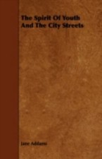 NEW Spirit of Youth and the City Streets by Jane Addams (2008 Paperback BOOK#579