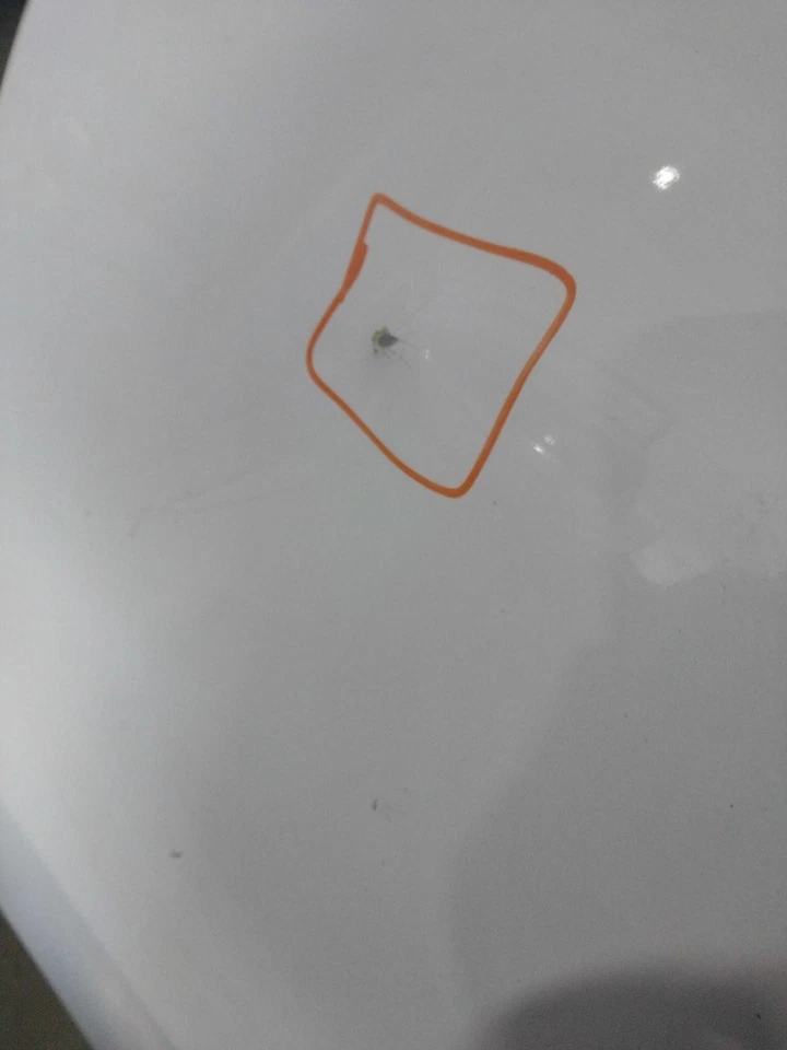 2009 Audi S5 Left Door White - Used, Crease Dent, 165k Miles, OEM Part - Imagem 3 de 4