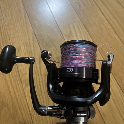 daiwa caldia spinning reel Daiwa 25 Caldia LT3000S-CXH