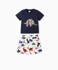 Boys Dinosaur Stegosaurus Tee and Shorts 2-Piece Set