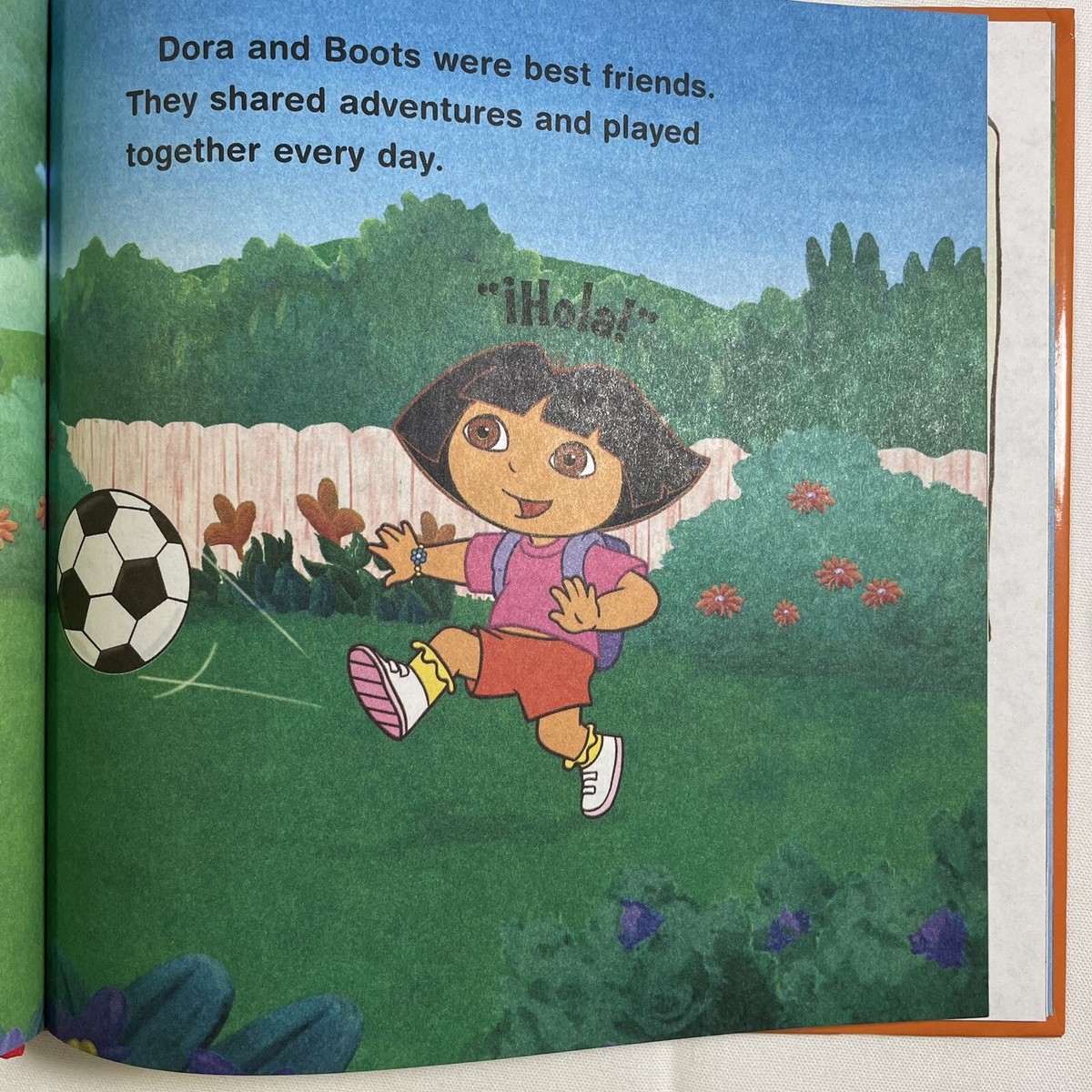 Dora the Explorer Children Hardcover Book's, Pack of 2 books Dora the Explorer Children Hardcover Book's, Pack of 2 books