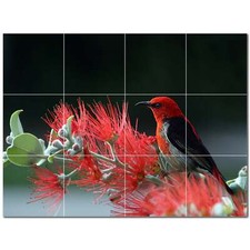 Bird Ceramic Tile Wall Mural PT500193. 32" W x 24" H 12 8x8 tiles