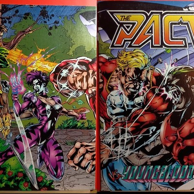1994 Image Comics The Pact Issue 2 Walter McDaniel Wraparound Cover Artist