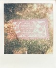 Original Polaroid 600 Art Photograph Jayne Mansfield Memorial Hollywood — photo 2