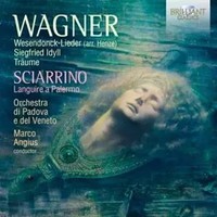 Wagner/Henze:Wesendonck Lieder | Marco Orchestra Di Padova El Del Veneto/Angius