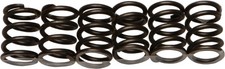 EBC CSK Clutch Spring Kit CSK19