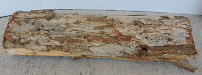 17'' White Oak Wood Half 1/2 Log Split Intact Crafts Decor BBQ 5''x3'' (A)