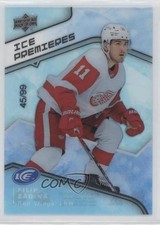 2019-20 Upper Deck Ice Premieres 45/99 Level 1 Filip Zadina #145 g0y