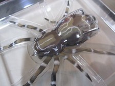 Ranker Hunt Large Phantom Spider 02 Dock New Hollow Frog Spider Spider Lures
