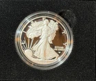 2023-W $1 Proof American 1oz Fine Silver Eagle Coin OGP & COA #44799