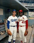 Sandy Koufax Bob Gibson Photo 8X10 - Dodgers Cardinals Buy Any 2 Get 1 FREE