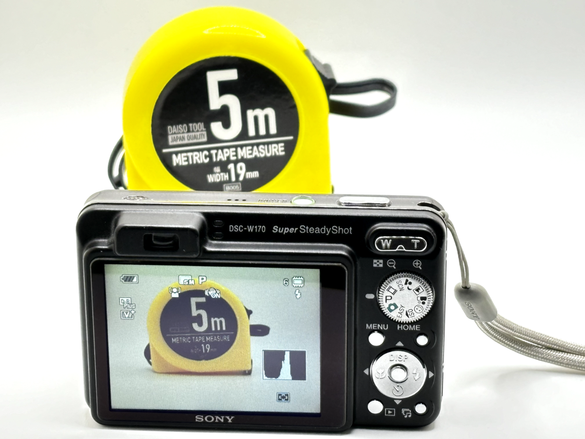 Buy Sony Cyber-shot DSC-W170 10.1MP Digital Camera - Black online