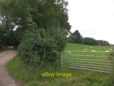 Photo 6x4 Private drive to the Manor House and field of sheep Cotford  c2012