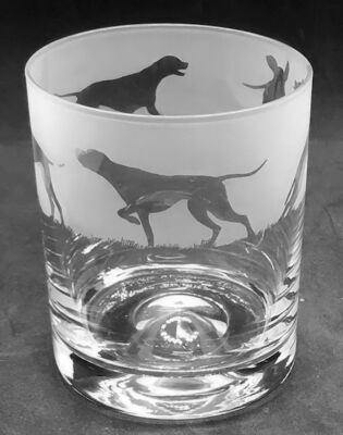 ENGLISH POINTER Frieze Boxed 30cl Glas Whisky Tumbler