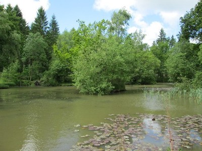 Foto A2 Teich in Hartley Wood Hartley Mauditt Dieser Teich mit seinen zwei SMA c2015