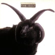 The Cult von Cult | CD | Zustand sehr gut - Bild 1 von 2