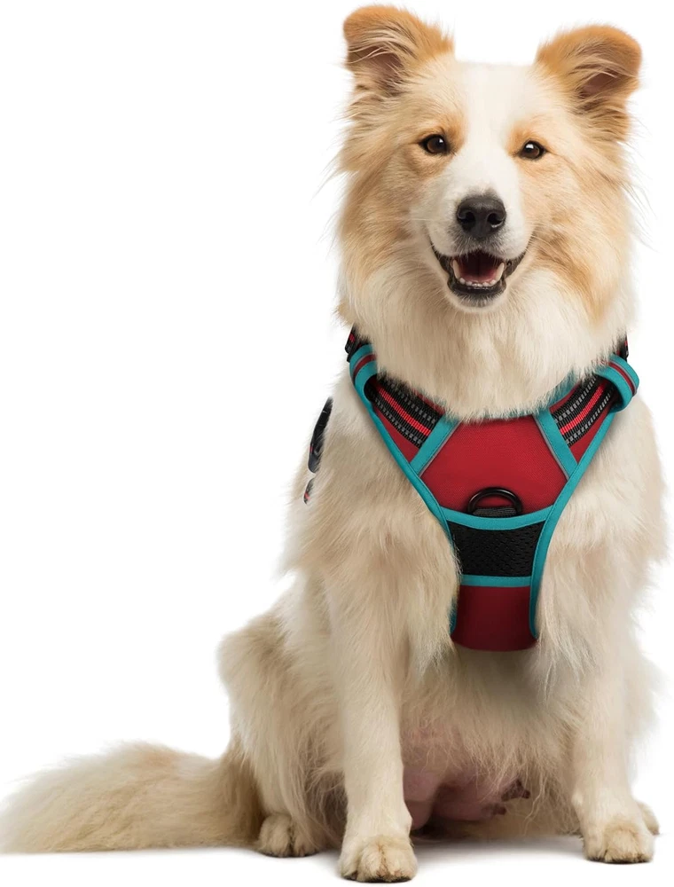 Dog Harness No Pull with 2 Leash Clips, Adjustable Soft Padded, Reflective Oxfor
