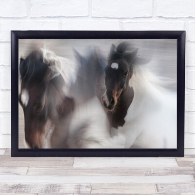 Pferd galoppierend Aktion Bewegung Portrait schwarz-weiß Wandkunstdruck