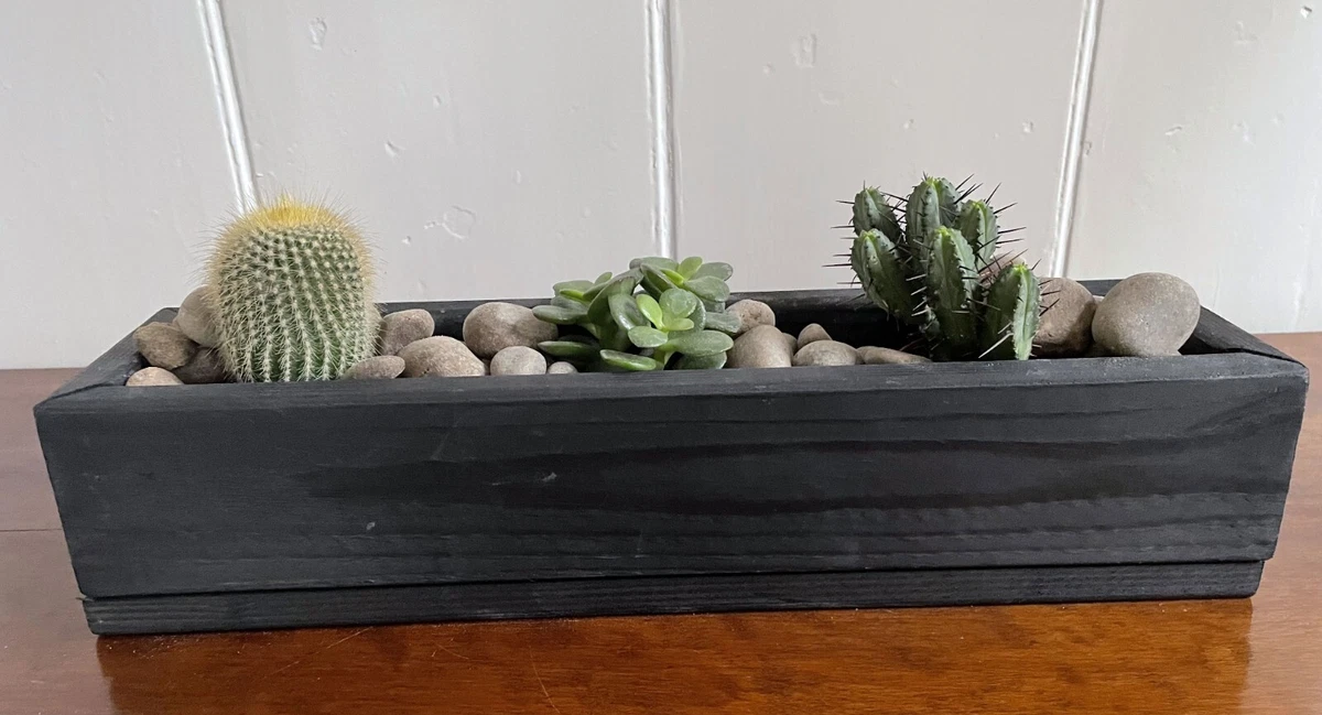 Wooden Succulent Planter Pot Box Indoor Window Herb Flower Cactus