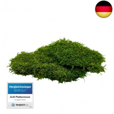 GJS Moos-Platten  Plattenmoos in 100g/200g/500g  echte konservierte,  haltbare | eBay.de