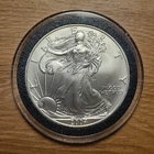 2004 1 oz Silver American Eagle (Brilliant Uncirculated)