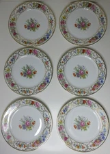 1924 Rosenthal SELB Bavaria 6 pc Salad / Lunch Plates The Dresden 100+ yrs old