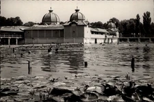 RPPC Heviz Gyogyfurdo Heviz vintage postcard n407