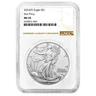 2024-P Silver American Eagle Star Privy - NGC MS70 Brown Label