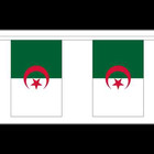 Algeria Country Flag Bunting - 3m 6m 9m Metre Length 10 20 30 Flags - Asia