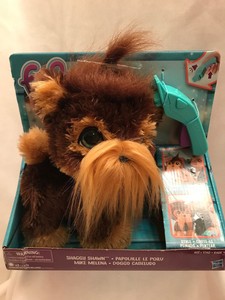 shaggy shawn furreal