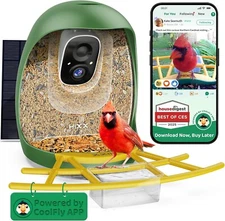 Smart Bird Feeder with Camera, Birdwatching Camera with Lifetime Free AI Identif