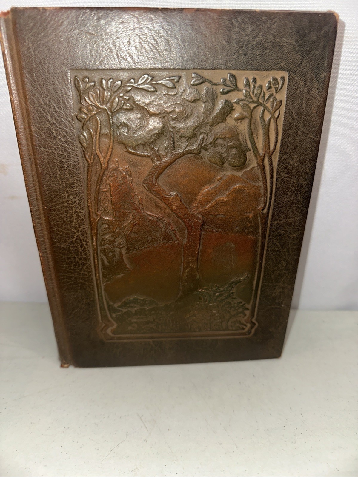 1916 Vintage Book | Elbert Hubbard LITTLE JOURNEYS Vol.  V. English Authors