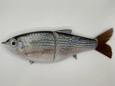 TYG Silencer Bass Glide bait swimbait custom 7 inch White Bass Wonder NEW